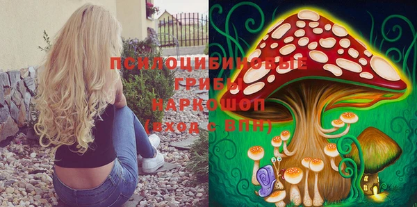 тгк Новокубанск