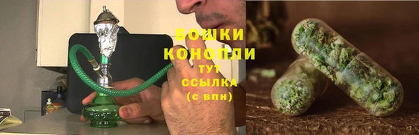 эйфоретик Новозыбков