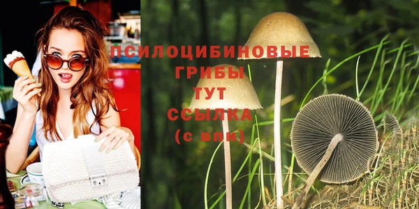 тгк Новокубанск