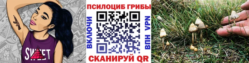 Псилоцибиновые грибы Psilocybe  кракен tor  Константиновск 